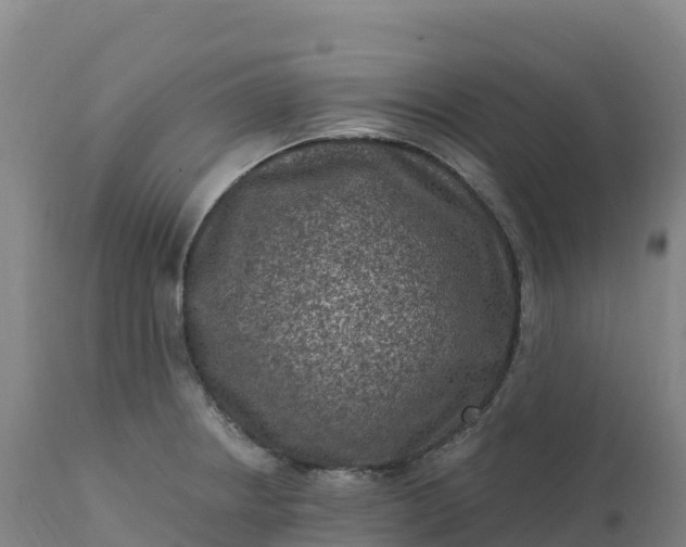 X0000112421234200908281830