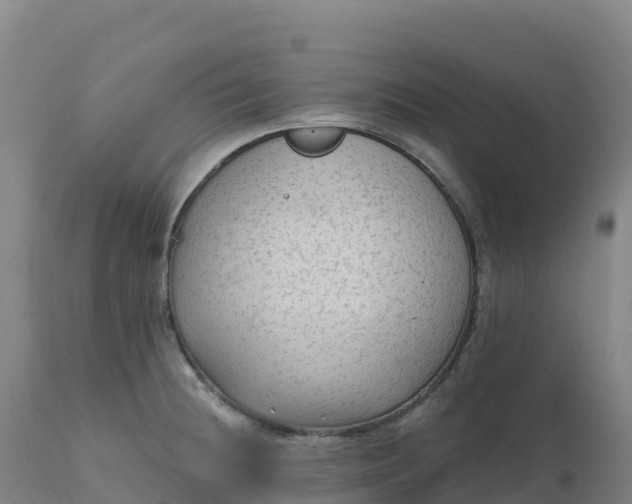 X0000112421236200908281831