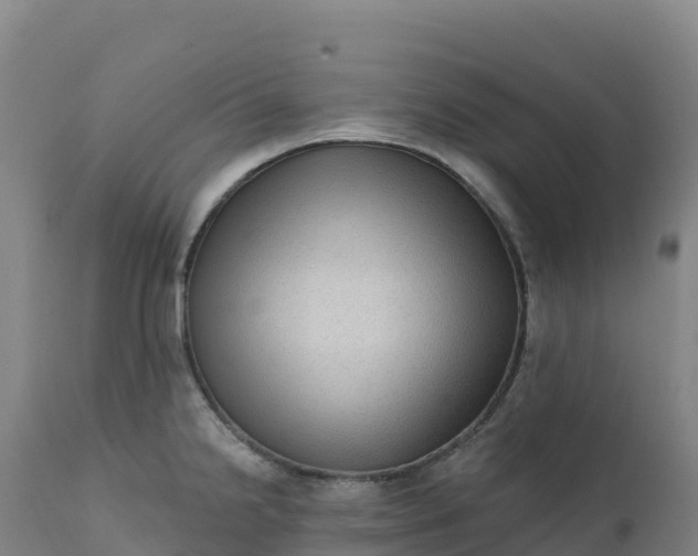 X0000112421238200908281831