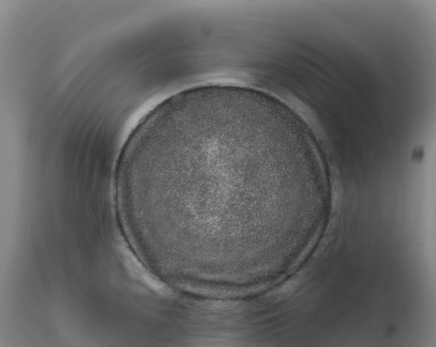 X0000112421240200908281831