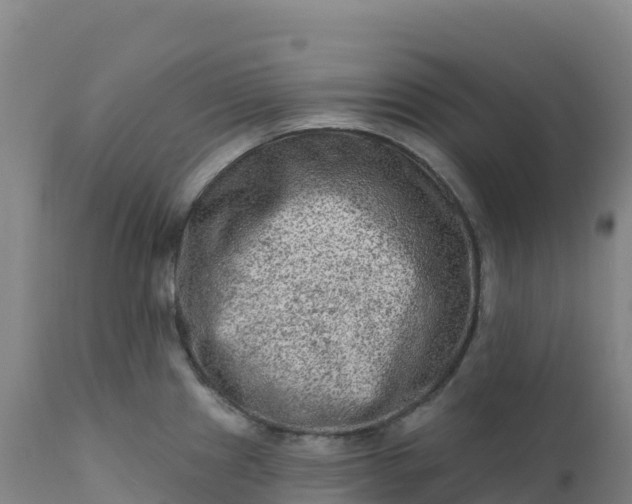 X0000112421241200908281831