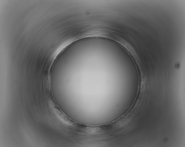 X0000112421242200908281831