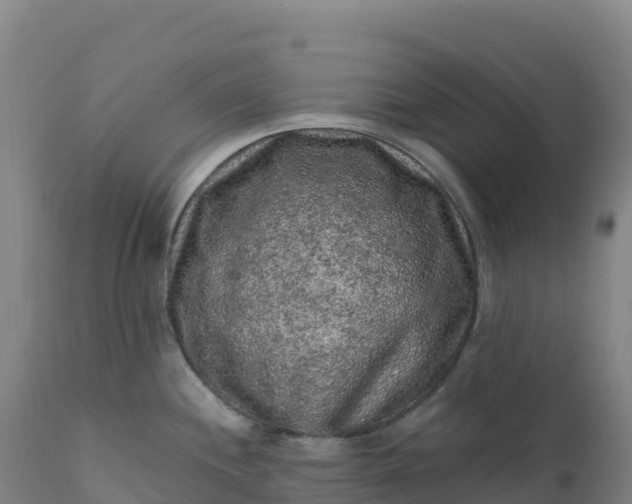 X0000112421244200908281831