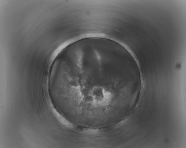 X0000112421245200908281831