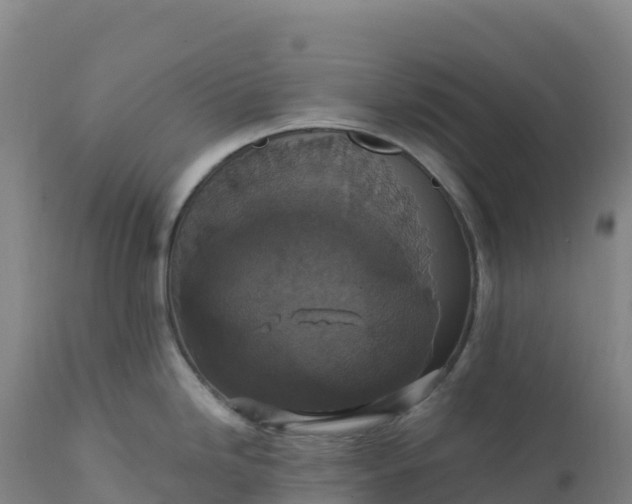 X0000112421246200908281831