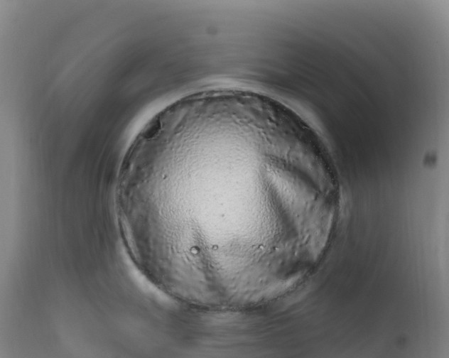 X0000112421247200908281831