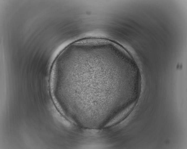 X0000112421248200908281831