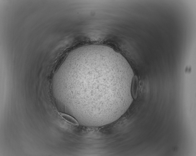 X0000112421249200908281830