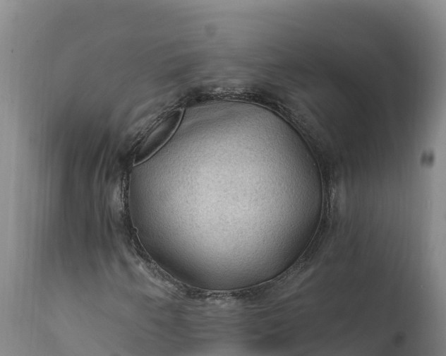 X0000112421250200908281830