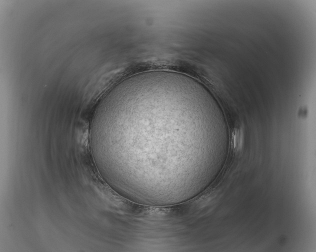 X0000112421251200908281830