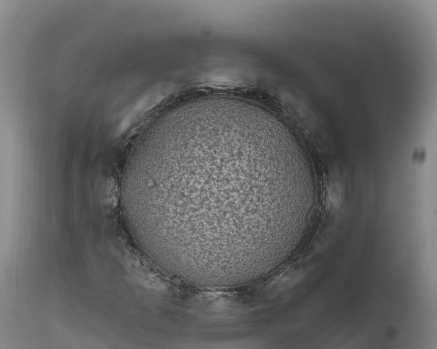 X0000112421253200908281830