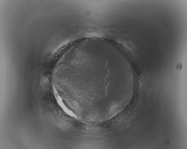 X0000112421254200908281830