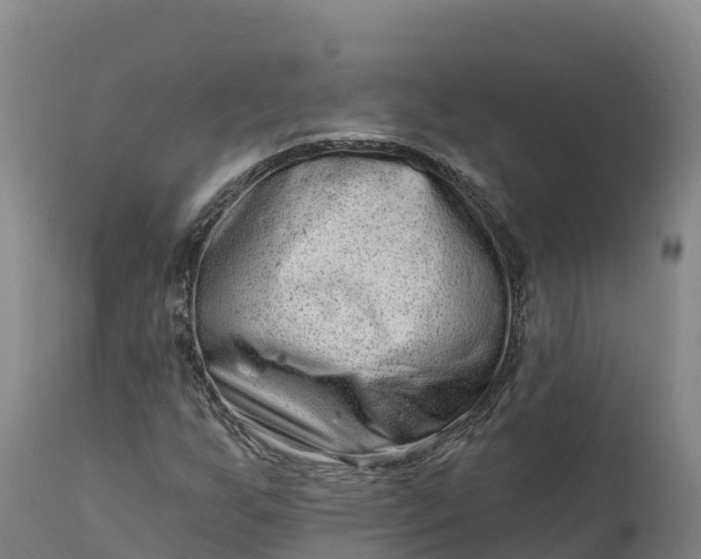 X0000112421255200908281830