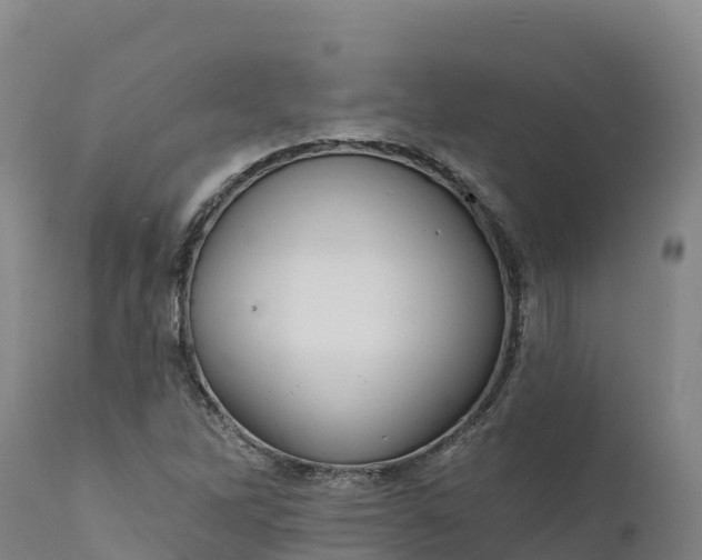 X0000112421262200908281830