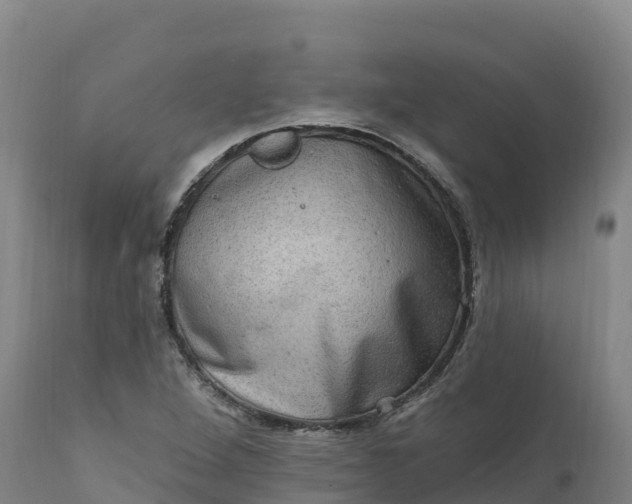 X0000112421264200908281830