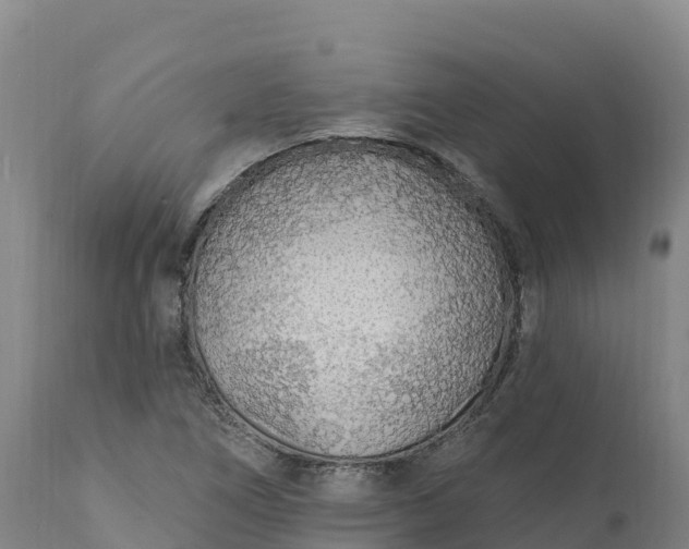 X0000112421266200908281830