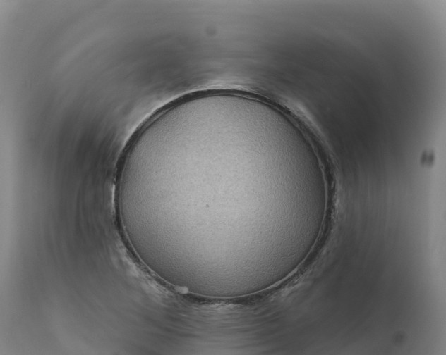 X0000112421268200908281830