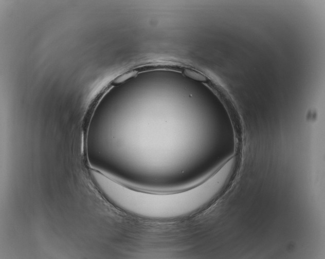 X0000112421269200908281830