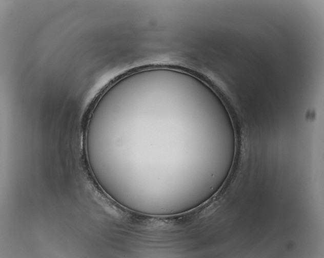 X0000112421270200908281830