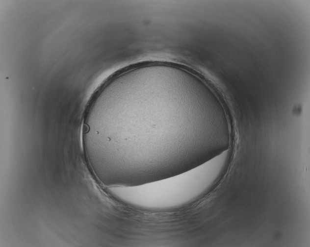 X0000112421272200908281830