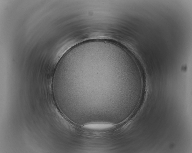 X0000112421273200908281830