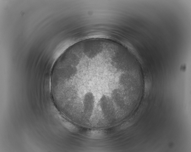 X0000112421274200908281830