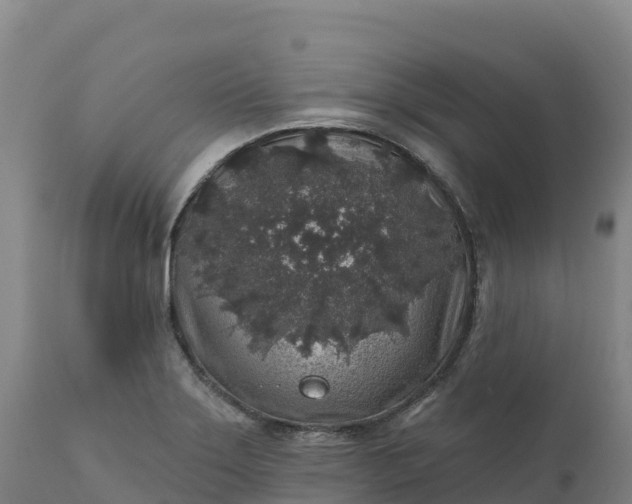 X0000112421275200908281830