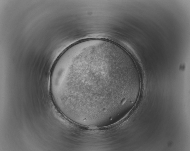 X0000112421276200908281830