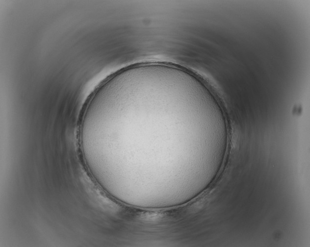 X0000112421278200908281830