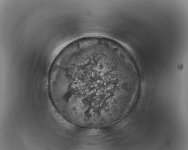 X0000112421279200908281830