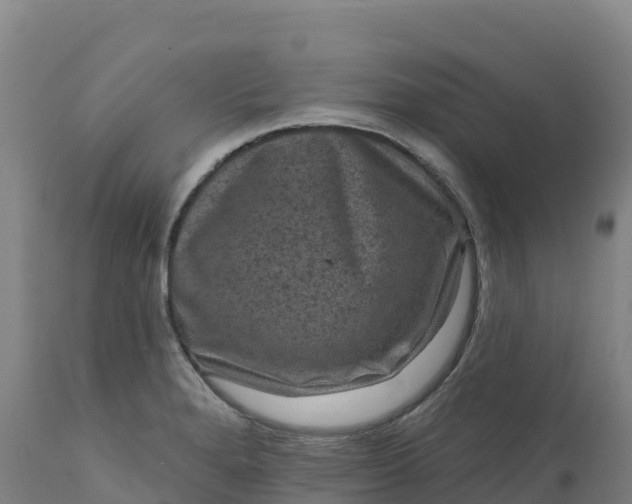 X0000112421280200908281830