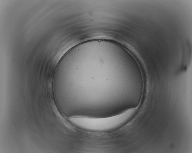 X0000112421281200908281830