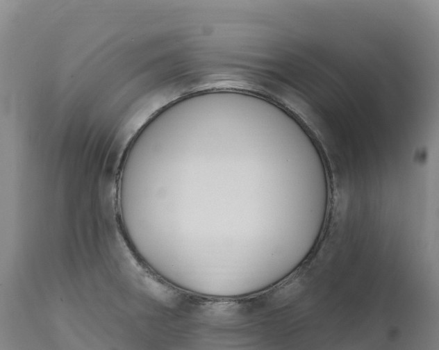 X0000112421282200908281830