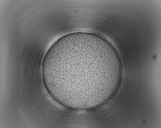 X0000112421283200908281830