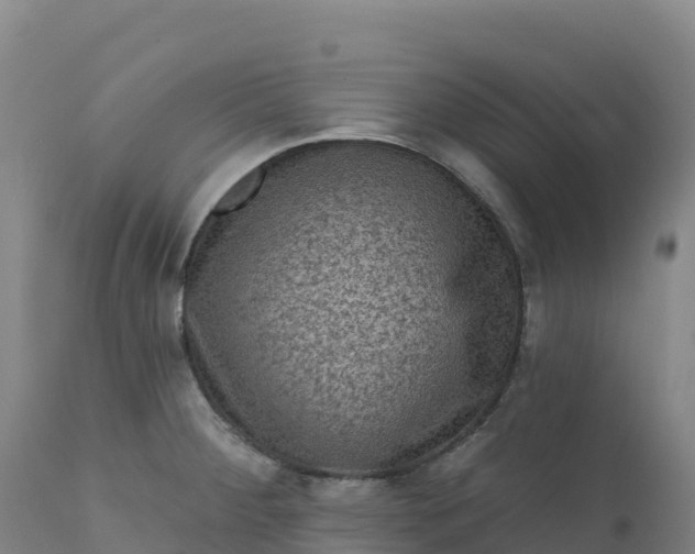 X0000112421284200908281830