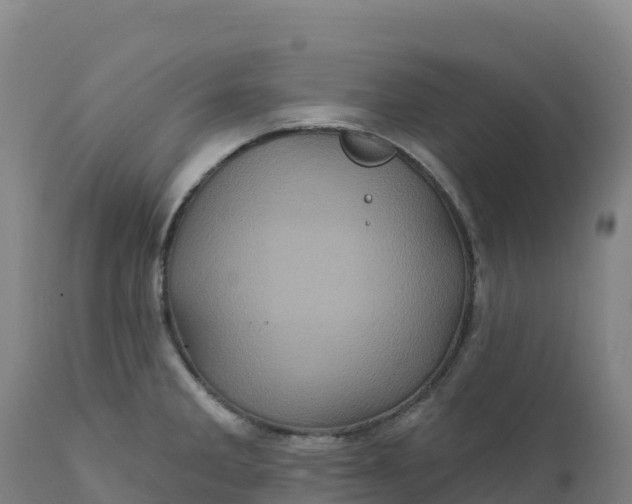 X0000112421285200908281829