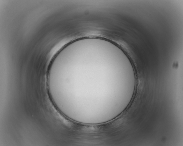 X0000112421286200908281829