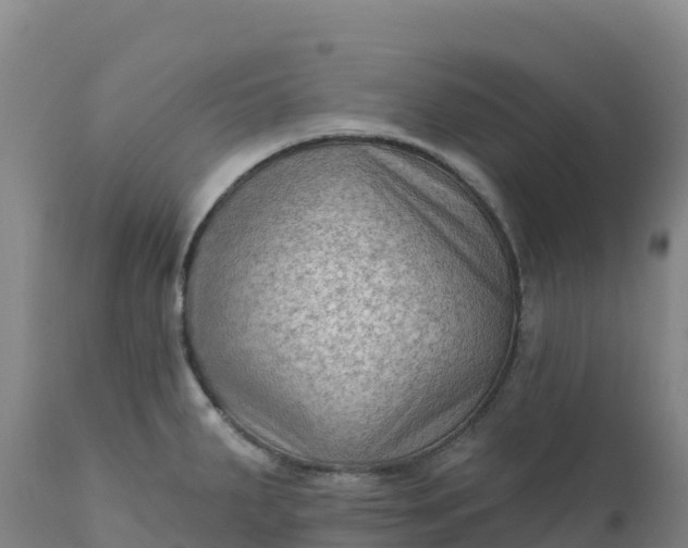 X0000112421287200908281829