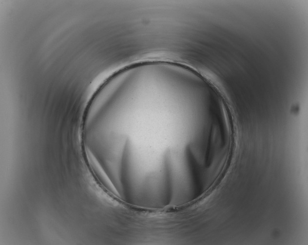 X0000112421288200908281829