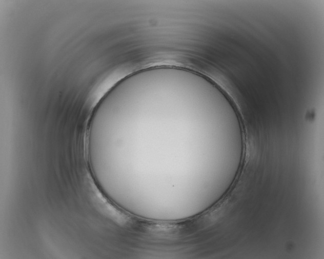 X0000112421290200908281829