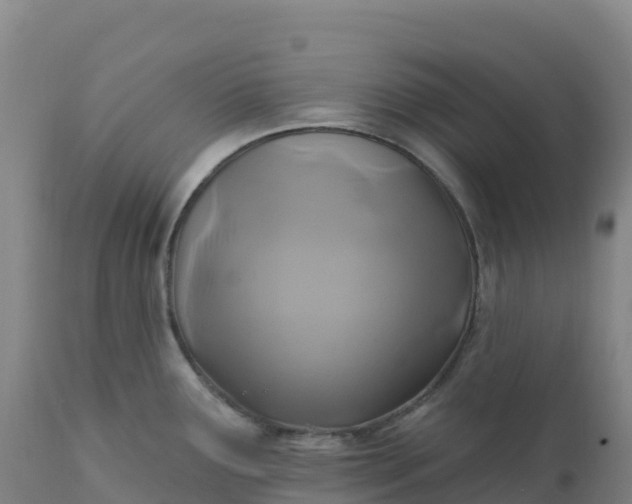 X0000112421291200908281829