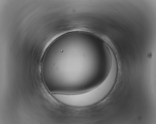 X0000112421292200908281829