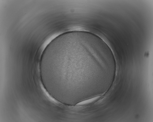 X0000112421293200908281829