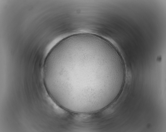 X0000112421294200908281829