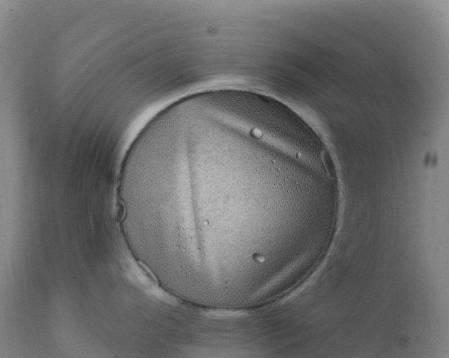 X0000112421296200908281829