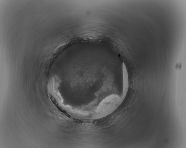 X0000112421297200908281829