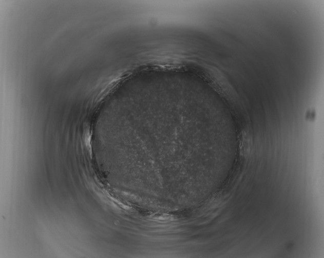 X0000112421298200908281829