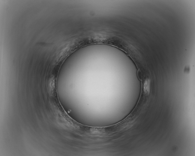 X0000112421299200908281829