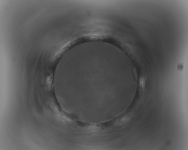 X0000112421300200908281829