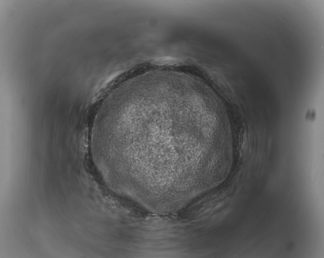 X0000112421301200908281829